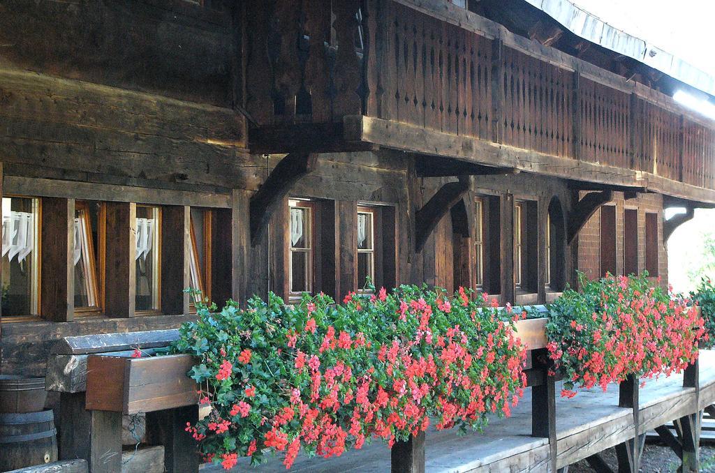 Ferienwohnungen Sternenthal Menzenschwand-Hinterdorf Exteriér fotografie