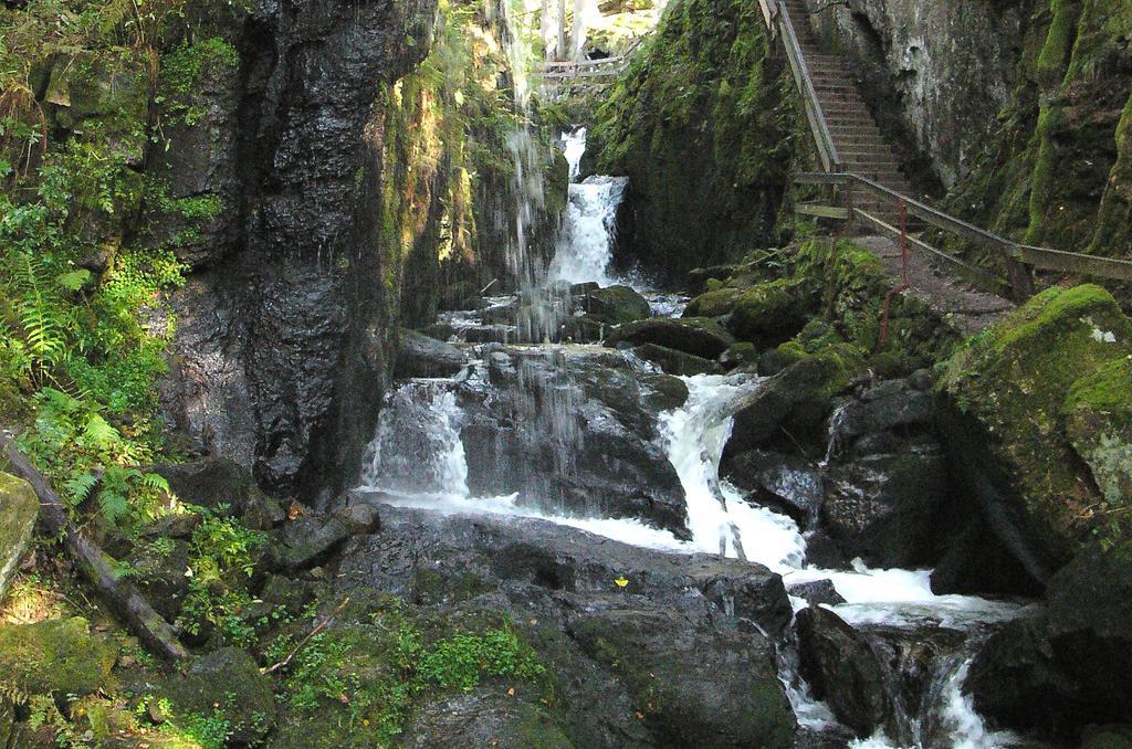Ferienwohnungen Sternenthal Menzenschwand-Hinterdorf Exteriér fotografie
