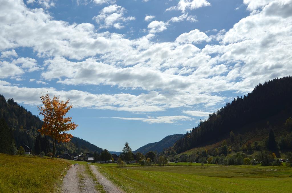 Ferienwohnungen Sternenthal Menzenschwand-Hinterdorf Exteriér fotografie