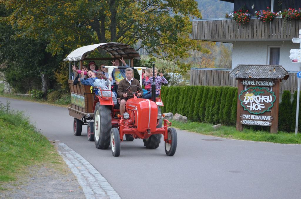 Ferienwohnungen Sternenthal Menzenschwand-Hinterdorf Exteriér fotografie