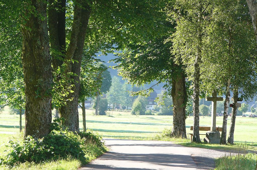 Ferienwohnungen Sternenthal Menzenschwand-Hinterdorf Exteriér fotografie