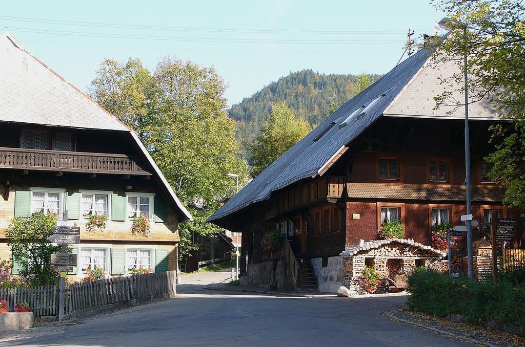 Ferienwohnungen Sternenthal Menzenschwand-Hinterdorf Exteriér fotografie
