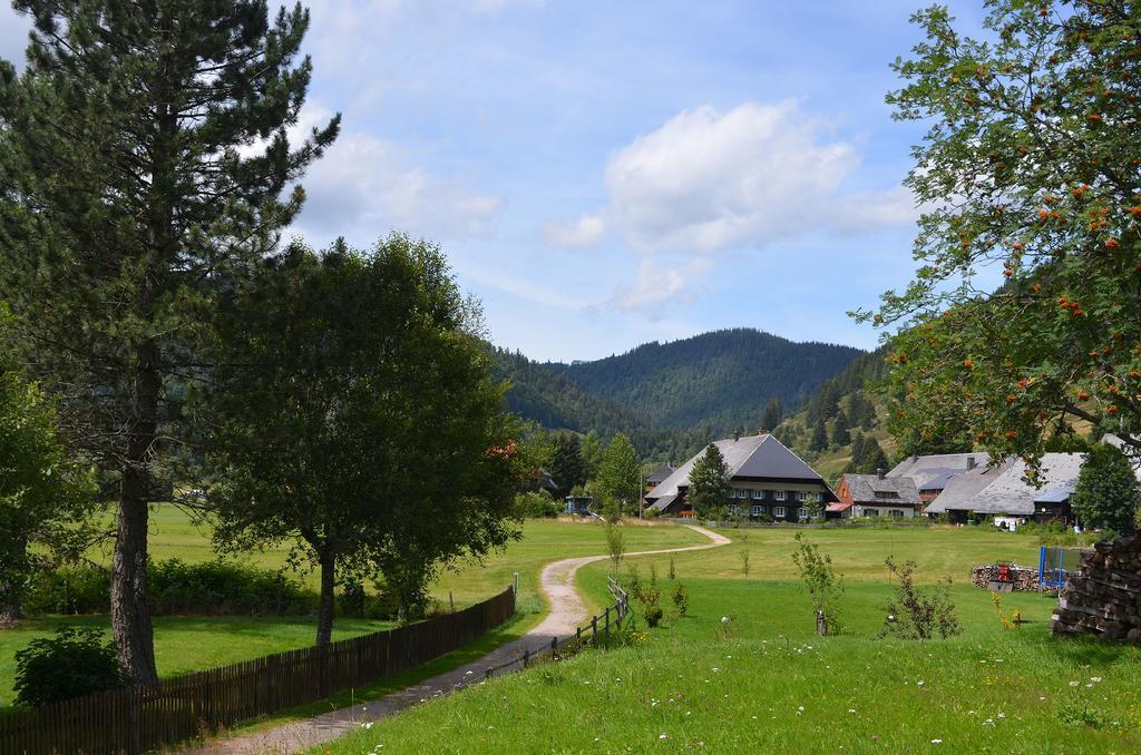 Ferienwohnungen Sternenthal Menzenschwand-Hinterdorf Exteriér fotografie