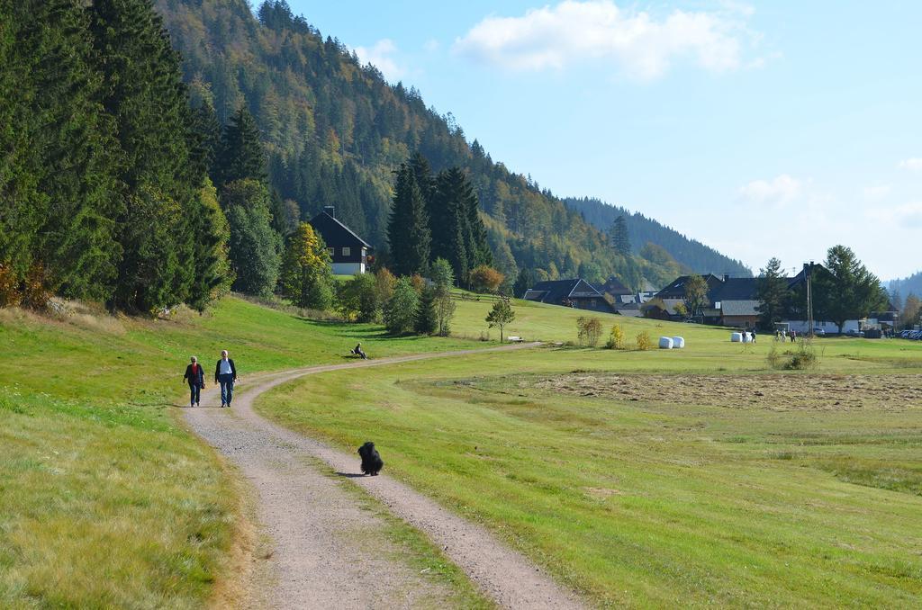 Ferienwohnungen Sternenthal Menzenschwand-Hinterdorf Exteriér fotografie