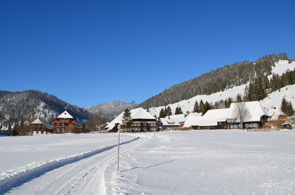 Ferienwohnungen Sternenthal Menzenschwand-Hinterdorf Exteriér fotografie
