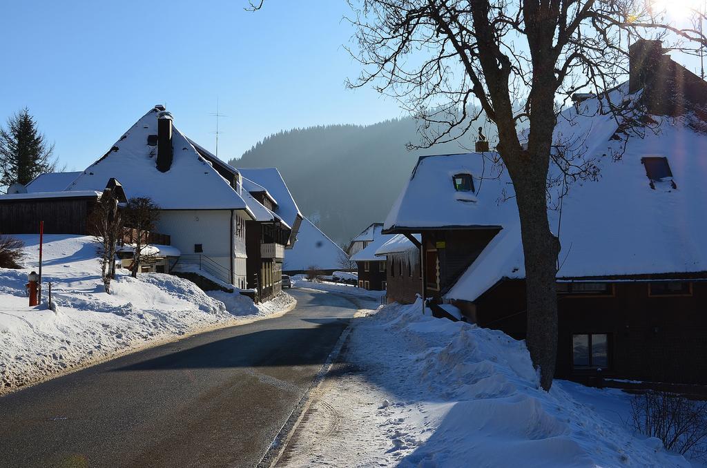 Ferienwohnungen Sternenthal Menzenschwand-Hinterdorf Exteriér fotografie