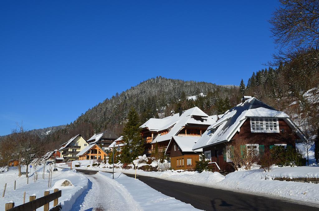 Ferienwohnungen Sternenthal Menzenschwand-Hinterdorf Exteriér fotografie